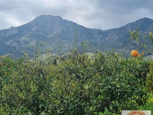 Terreno en venta en Casarabonela, Málaga