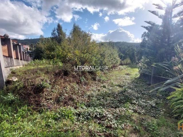 Terreno venda em Sever Do Vouga, Aveiro