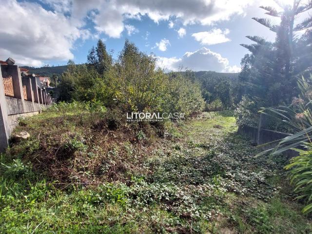 Terreno venda em Paradela, Sever do Vouga