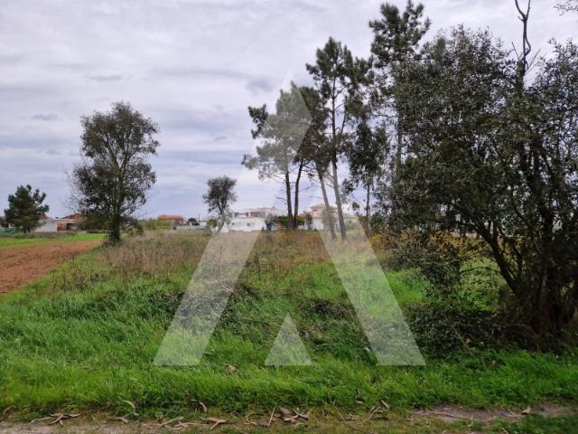 Terreno venda em Ponte De Vagos, Aveiro