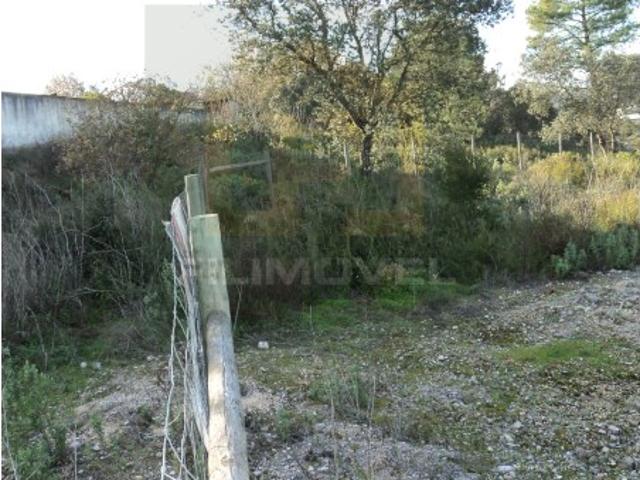 Terreno venda em Fonte São Miguel, Tomar
