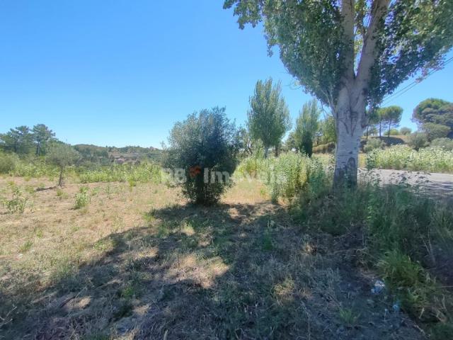 Terreno venda em Fonte São Miguel, Tomar