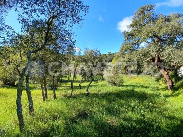Terreno venda em Tomar, Santarém