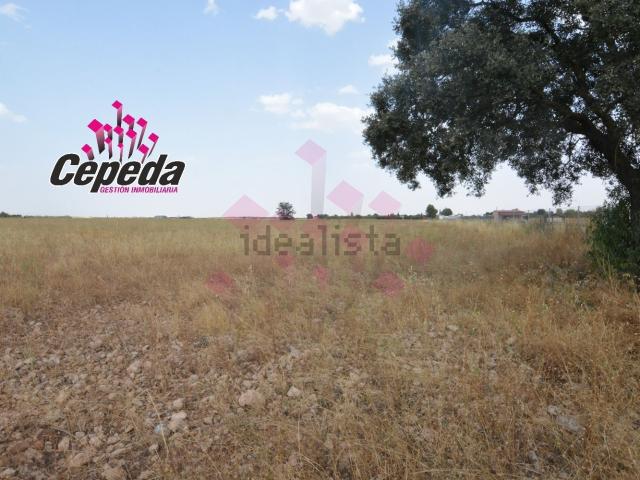 Terreno en venta en Carrión De Calatrava, Castilla-La Mancha