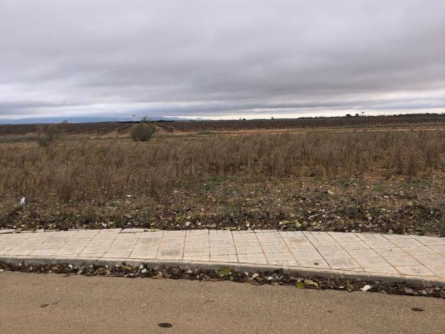 Terreno en venta en Carrión De Calatrava, Castilla-La Mancha