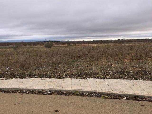 Terreno en venta en Carrión De Calatrava, Castilla-La Mancha