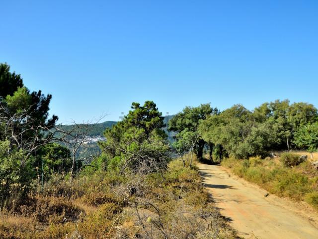 Terreno en venta en Serranía de Ronda, Andalucía