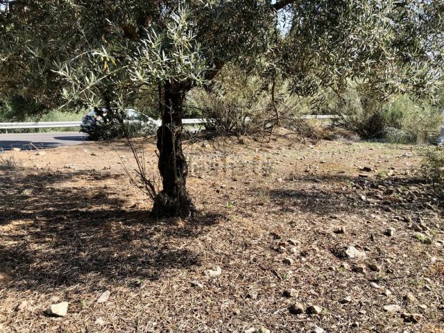 Terreno en venta en Ampliación de Cártama, Valle del Guadalhorce