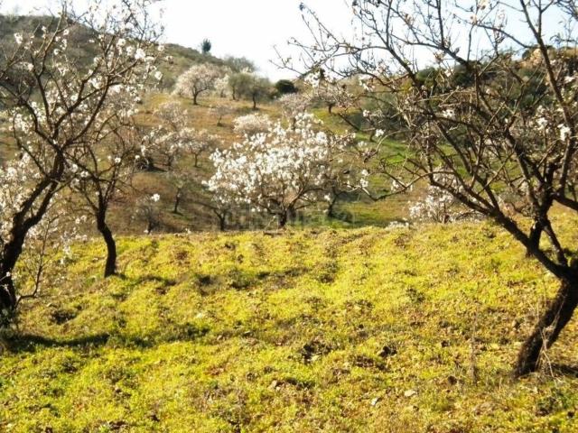 Terreno en venta en Valle del Guadalhorce, Andalucía