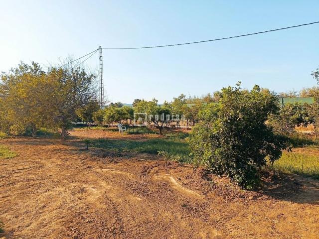 Terreno en venta en Estación de Cártama, Valle del Guadalhorce