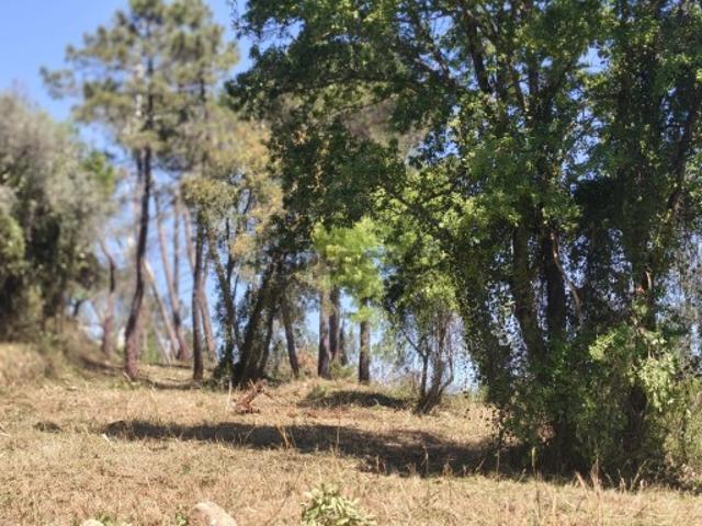 Terreno venda em Coimbrã, Coimbra