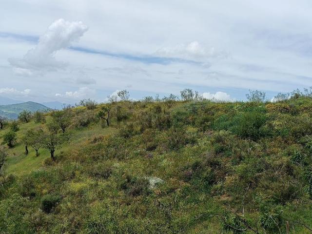Terreno en venta en Antequera, Andalucía