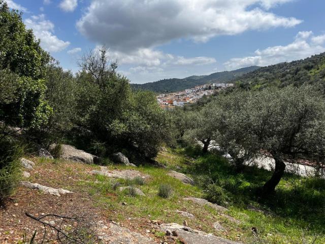 Terreno en venta en Antequera, Andalucía