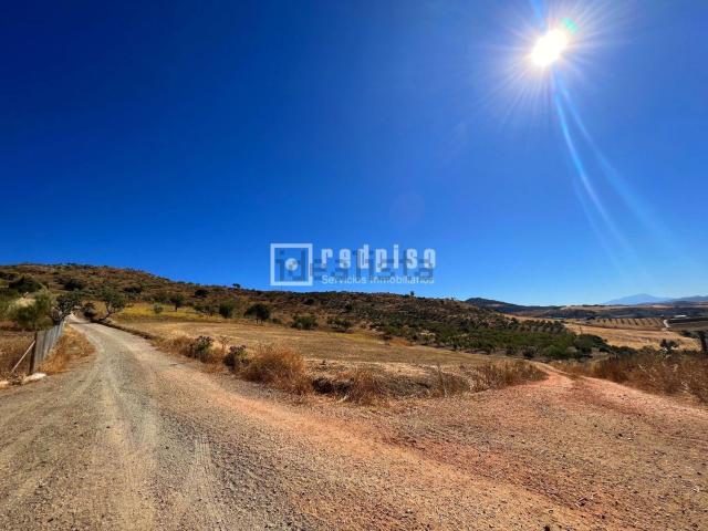 Terreno en venta en Antequera, Andalucía