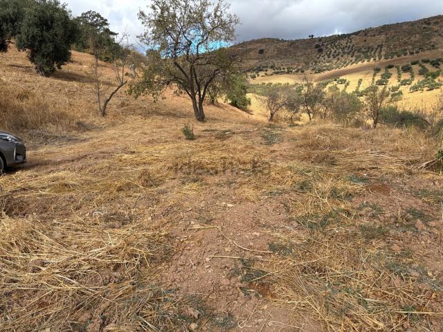 Terreno en venta en Antequera, Andalucía