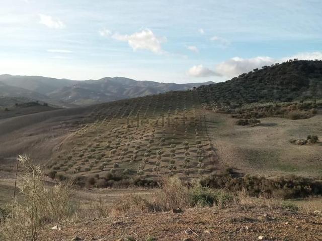 Terreno en venta en Casabermeja, Málaga