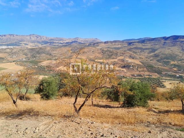 Terreno en venta en Antequera, Andalucía