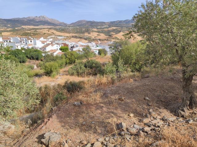 Terreno en venta en Antequera, Andalucía