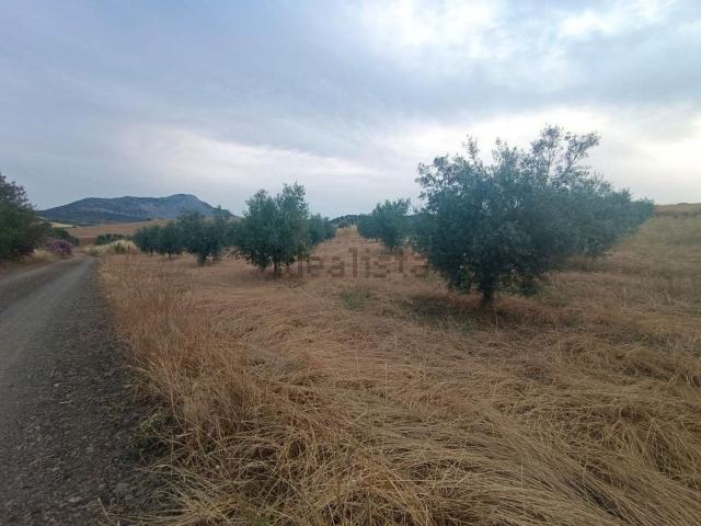 Terreno en venta en Casabermeja, Málaga