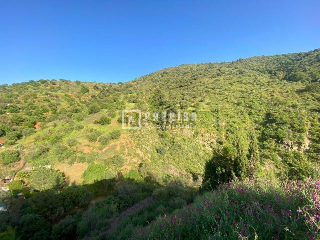 Terreno en venta en Antequera, Andalucía