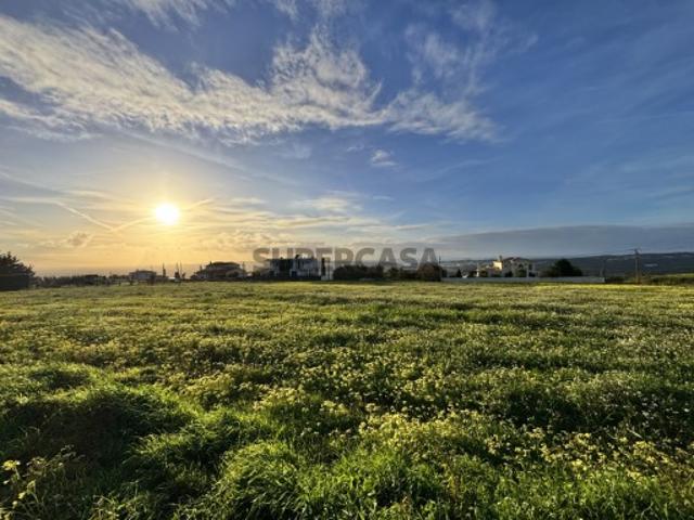 Terreno venda em Alcobaça, Leiria