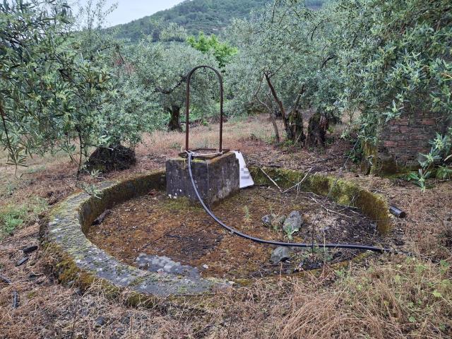 Terreno en venta en Casar De Palomero, Extremadura