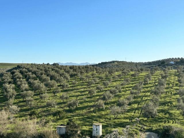 Terreno en venta en Sierra de las Nieves, Andalucía