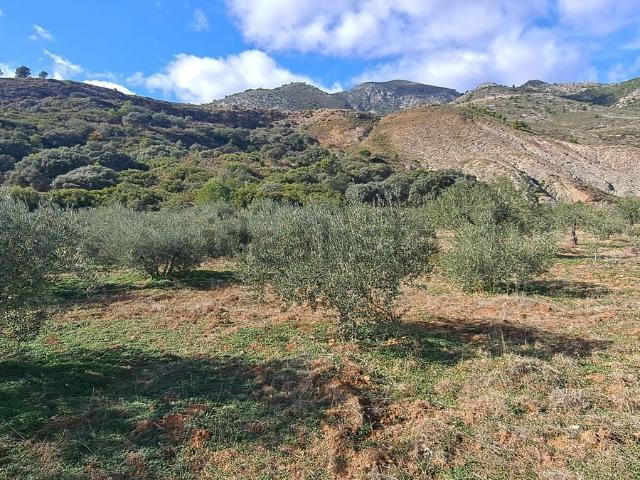 Terreno en venta en Casarabonela, Málaga