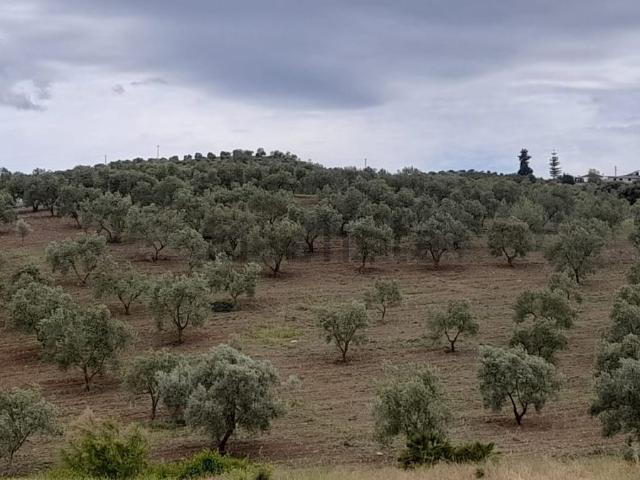 Terreno en venta en Casarabonela, Málaga