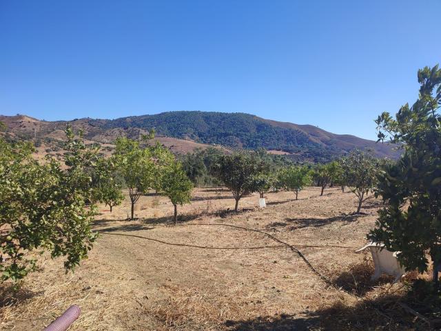 Terreno en venta en Sierra de las Nieves, Andalucía