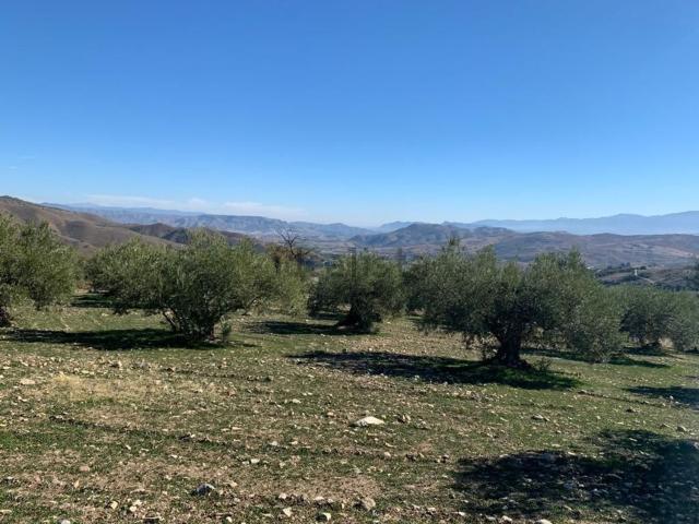 Terreno en venta en Casarabonela, Málaga