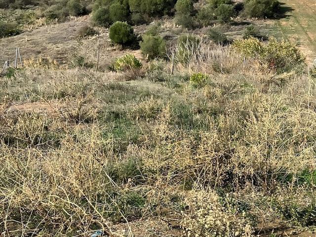 Terreno en venta en Costa del Sol Occidental, Andalucía