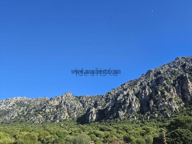Terreno en venta en Costa del Sol Occidental, Andalucía