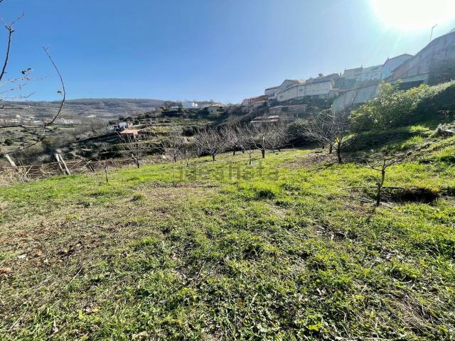 Terreno en venta en Casas Del Castañar, Extremadura