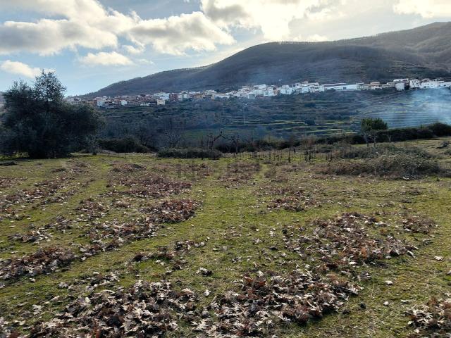 Terreno en venta en Casas Del Castañar, Extremadura