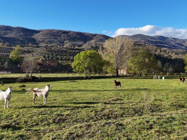 Terreno en venta en Casas Del Castañar, Extremadura