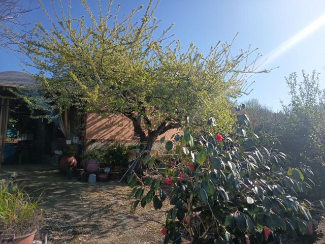 Terreno en venta en El Torno, Extremadura
