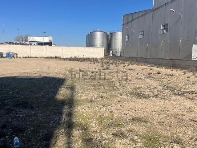 Terreno en venta en Casas-ibáñez, Castilla-La Mancha