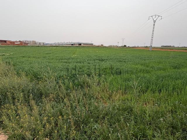 Terreno en venta en Casas-ibáñez, Castilla-La Mancha