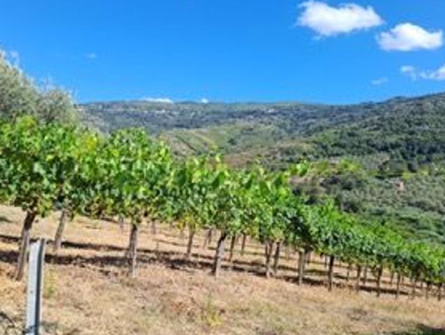 Terreno in vendita a Torchiara, Campania