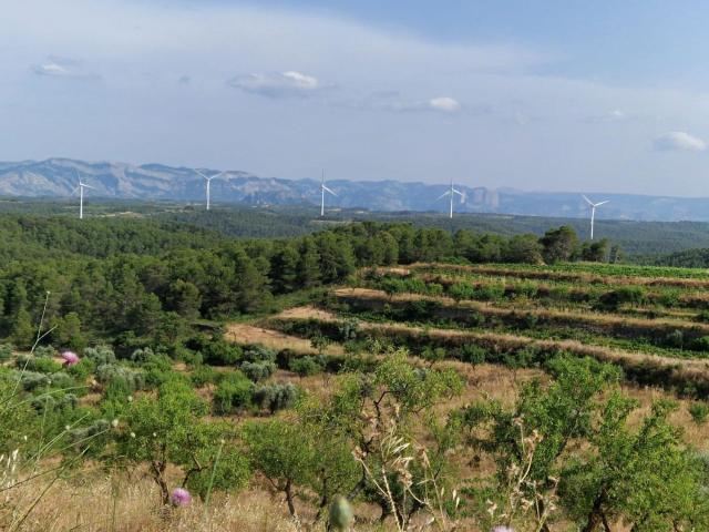Terreno en venta en Terra Alta, Catalunya
