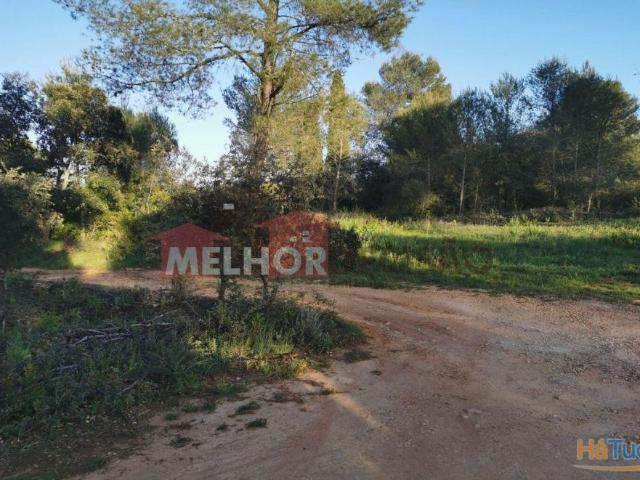 Terreno venda em Santarém