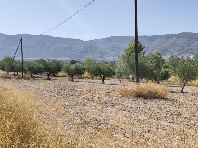 Terreno en venta en l'Alcoià, Valencia