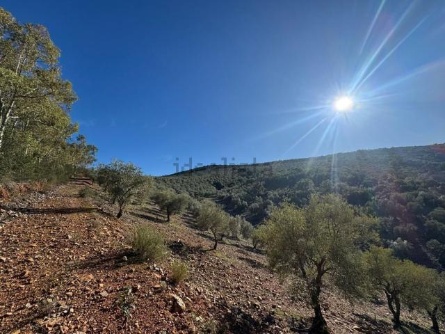 Terreno en venta en Castañar De Ibor, Extremadura