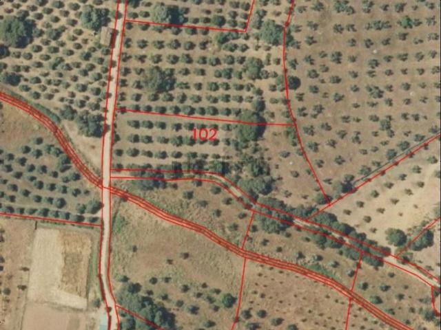 Terreno en venta en Castañar De Ibor, Extremadura