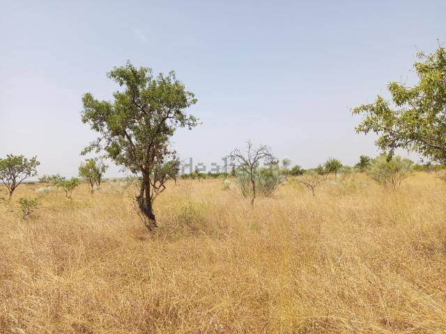 Terreno en venta en Garrigues, Catalunya