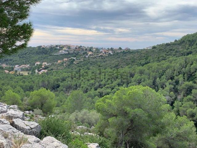 Terreno en venta en Valldemar, Alt Penedès