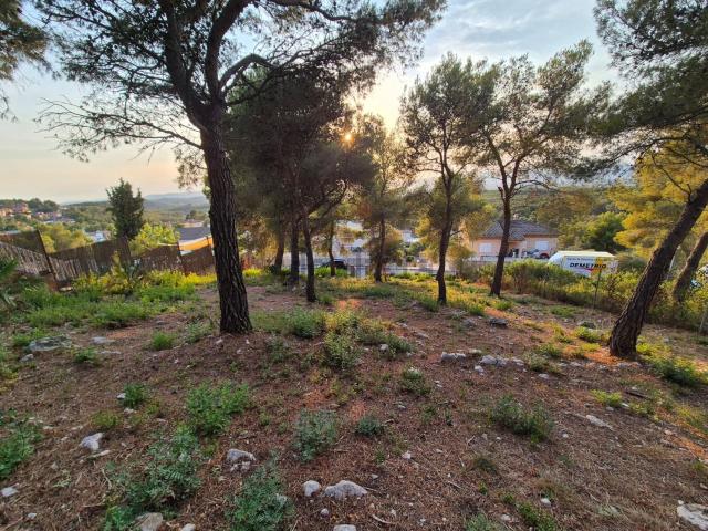 Terreno en venta en Segur de Dalt, Baix Penedès