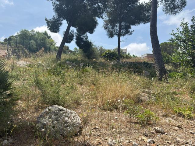 Terreno en venta en Segur de Dalt, Baix Penedès