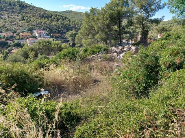 Terreno en venta en els Rosers, Alt Penedès